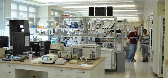 Dr. Erkine's Lab